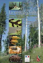 La santé des forêts