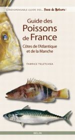 illustration Guide des poissons de France, Côtes de l’Atlantique et de la Manche