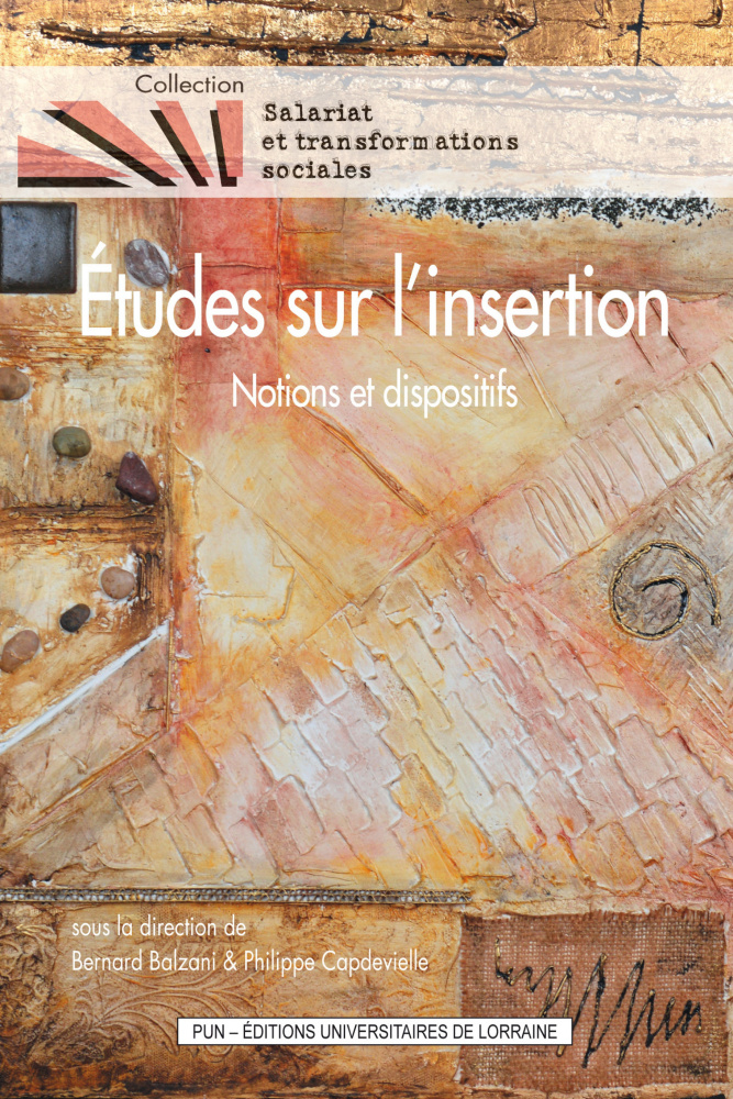 Etudes sur l’insertion Notions et dispositifs