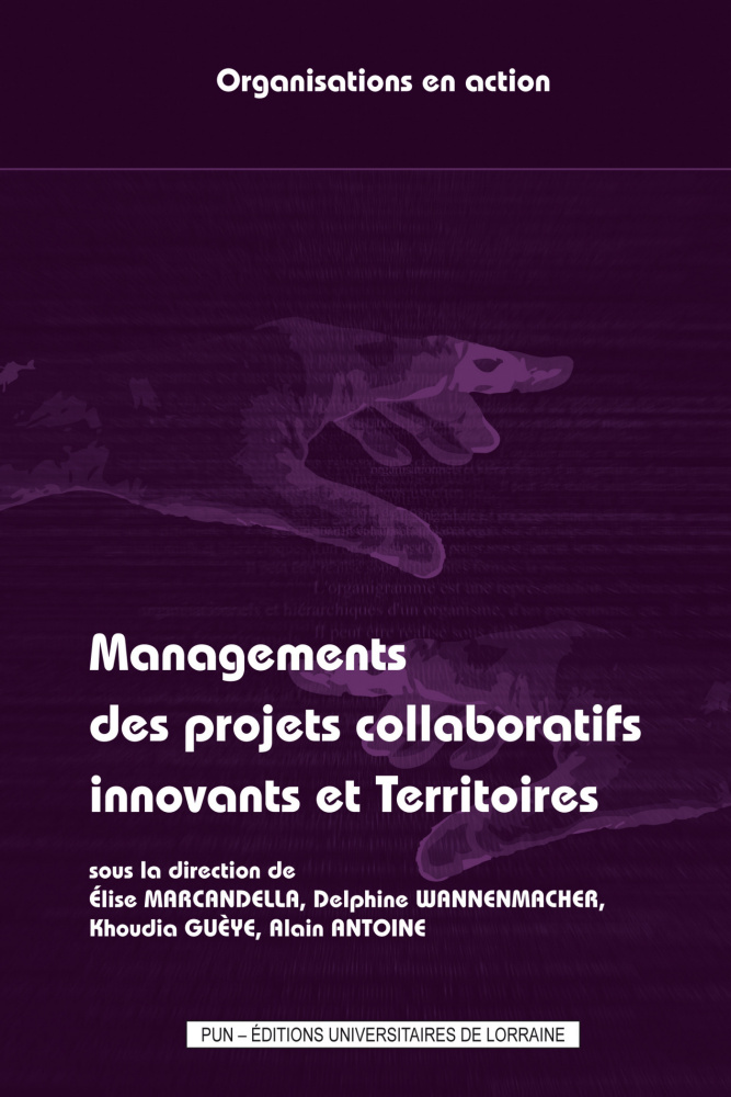 illustration Management des projets collaboratifs innovants et territoires