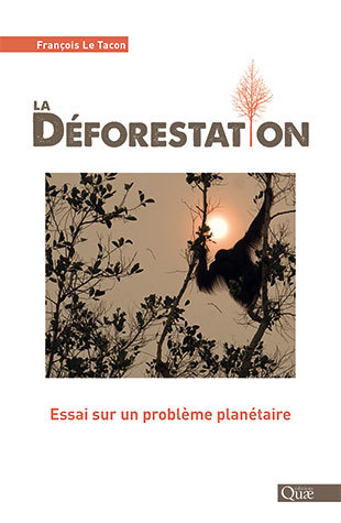 La déforestation : Essai sur un problème planétaire