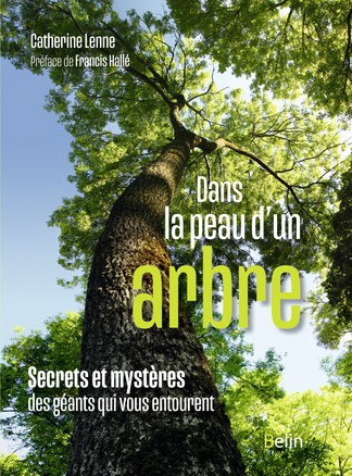 Dans la peau d’un arbre : Secrets et mystères des géants qui vous entourent