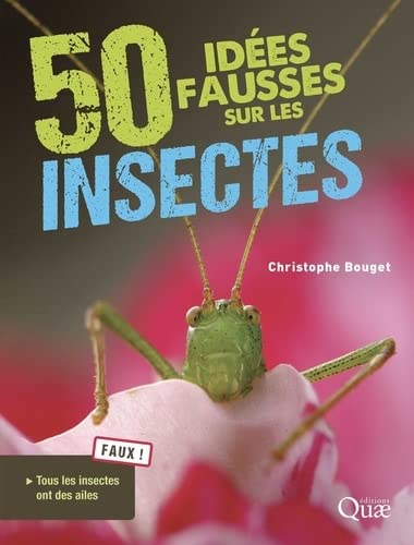 illustration 50 idées fausses sur les insectes