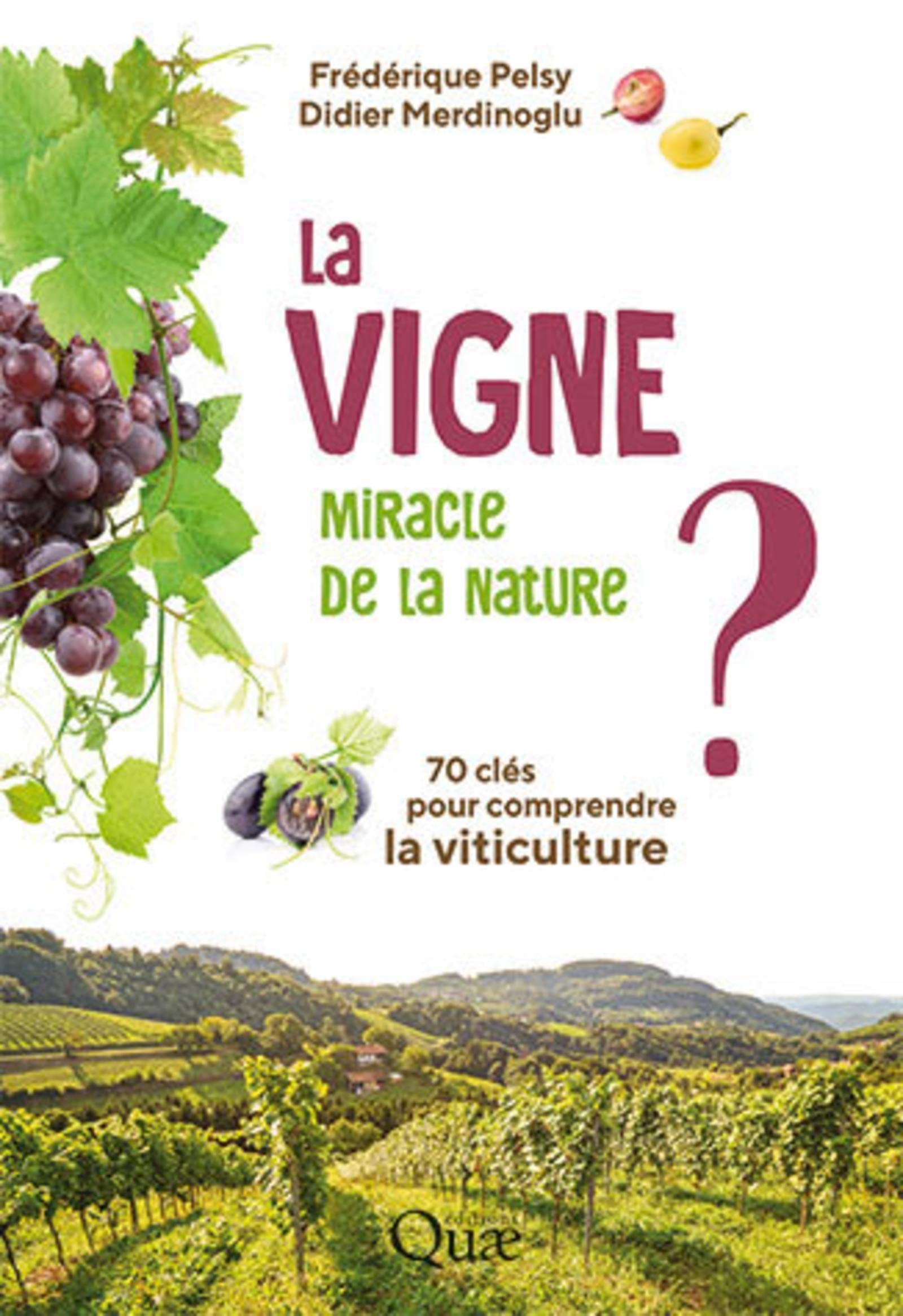 La vigne, miracle de la nature ?