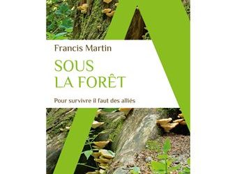 Sous la forêt