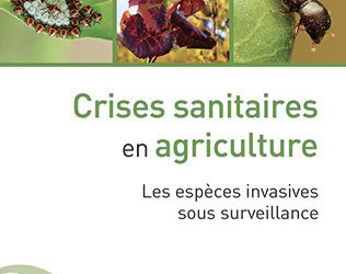 Crises sanitaires en agriculture