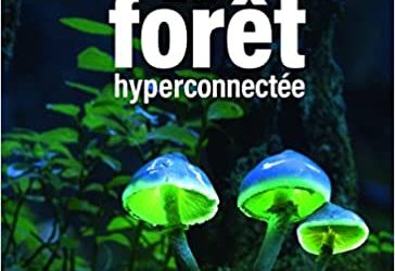 La forêt hyperconnectée