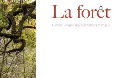 La forêt