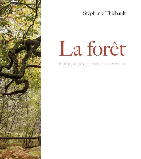 La forêt