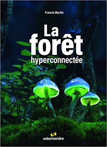 La forêt hyperconnectée