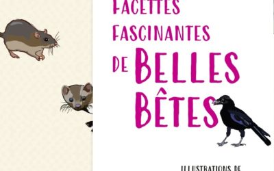 Facettes fascinantes de belles bêtes