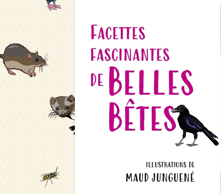 Facettes fascinantes de belles bêtes