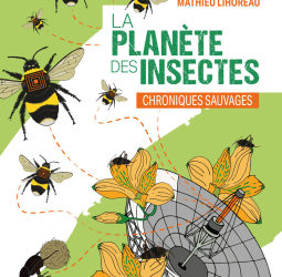 La Planète des insectes
