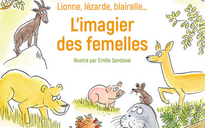 L’imagier des femelles